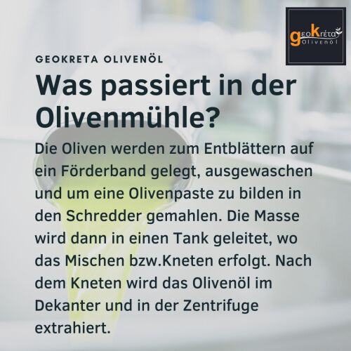 Was passiert in der Olivenmühle?  Die Oliven werden zum Entblättern auf ein Förderband gelegt, ausgewaschen  und um eine Olivenpaste zu bilden in den Schredder gemahlen. Die Masse wird dann in einen Tank geleitet, wo das Mischen bzw.Kneten erfolgt. Nach dem Kneten wird das Olivenöl im Dekanter und in der Zentrifuge extrahiert. 