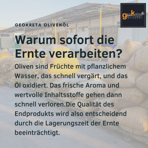 Warum sofort die Ernte verarbeiten?   Oliven sind Früchte mit pflanzlichem Wasser, das schnell vergärt, und das Öl oxidiert. Das frische Aroma und wertvolle Inhaltsstoffe gehen dann schnell verloren. Die Qualität des Endprodukts wird also entscheidend durch die Lagerungszeit der Ernte beeinträchtigt.  